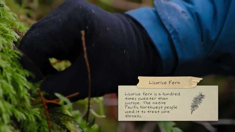 {\an8}With the items that we foraged so far