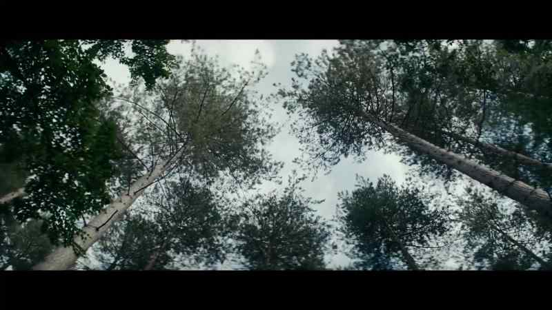 {\an8} [wood creaking]