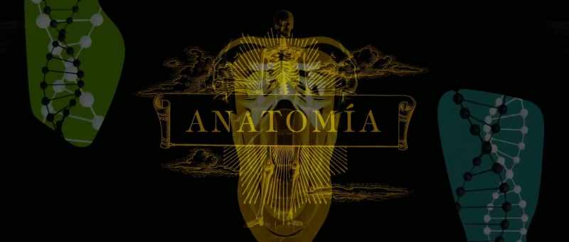 ANA TOMY