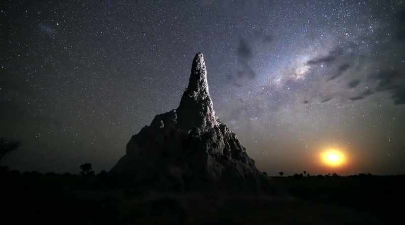 Ancient termite mounds seem to be the only things impervious