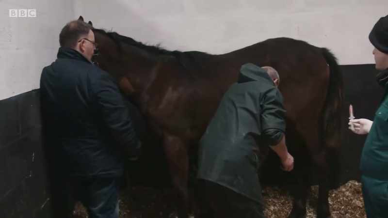 And a kick from a horse can cause serious damage