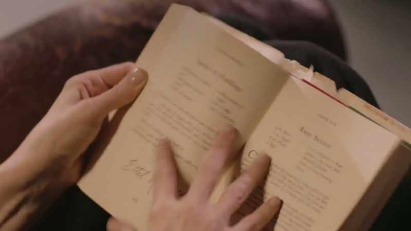 And actually, it was flicking through this book that reminded
