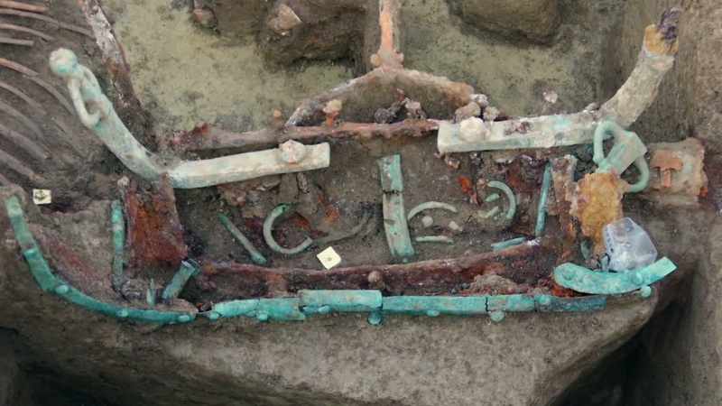 And alongside the vehicle, intact bones