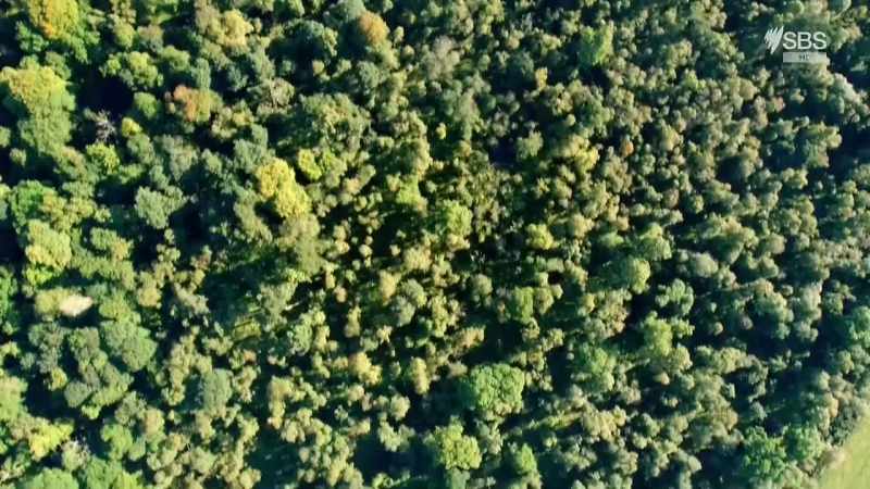 and also farmland