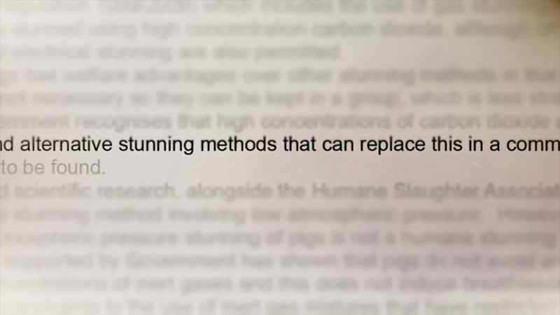And alternative stunning methods