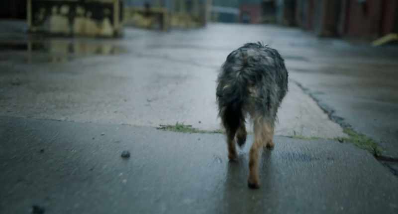 And you always need to remember that real love