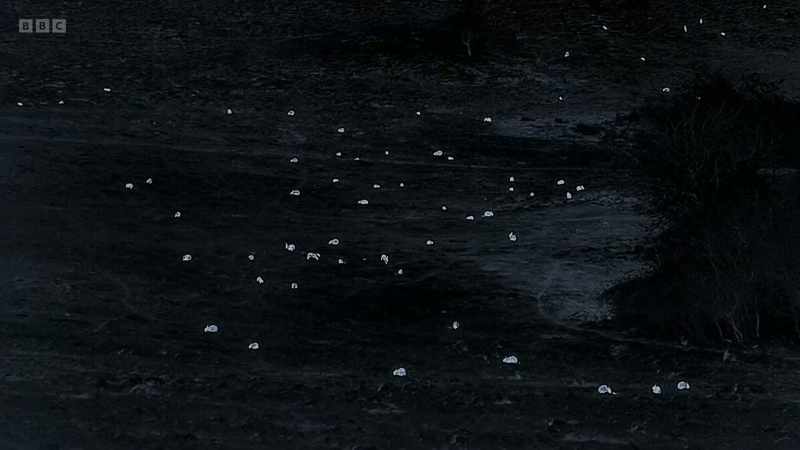 and at night, they all feel sufficiently confident