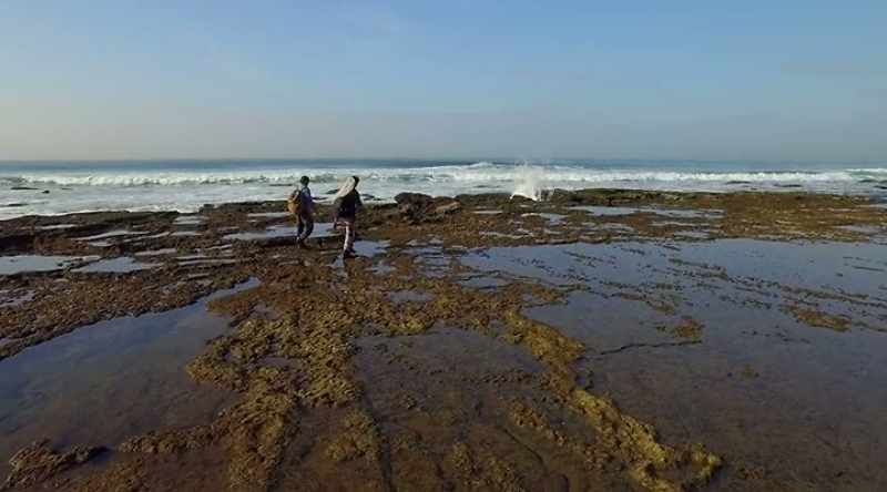 And being stranded in these tide pools
