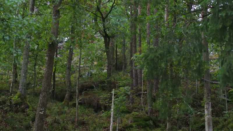 And blending into their very special home