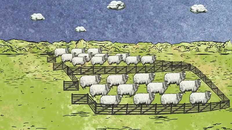 And he branched out from sheep to cows