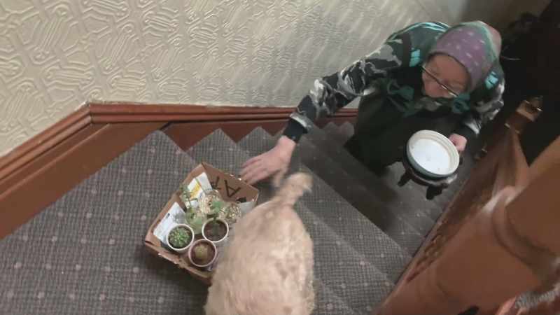 And brings me cactus