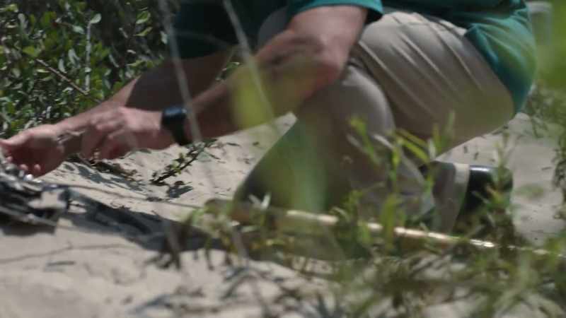 And he came across Sabine's purse
