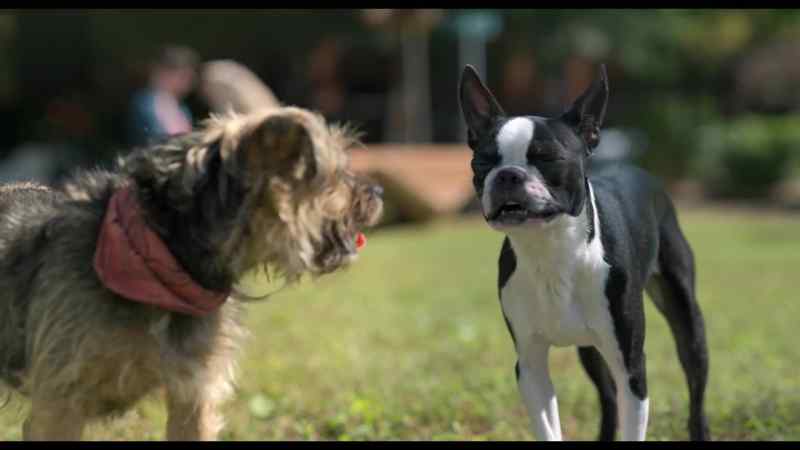 And you can learn how beautiful it can be when you're off the leash