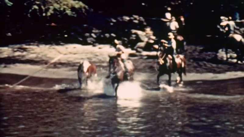 And cattle being loaded by rope and derrick