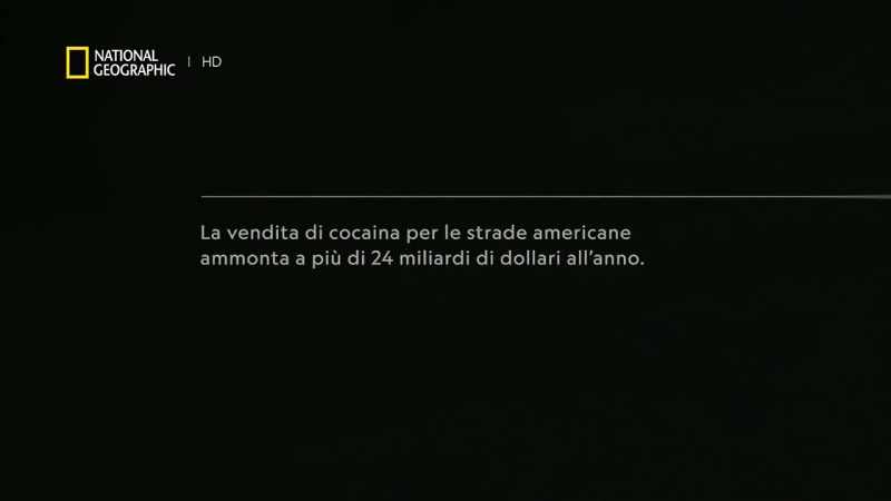 And cocaine became that currency