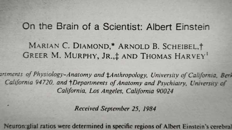 And she concludes that einstein had more