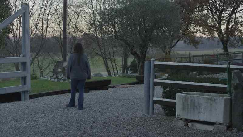 And he could build another 12 stables out back, at least