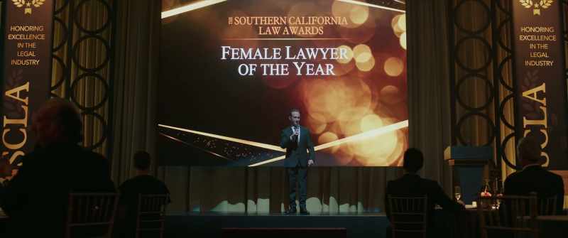 And doing everything regular lawyers do, except backwards