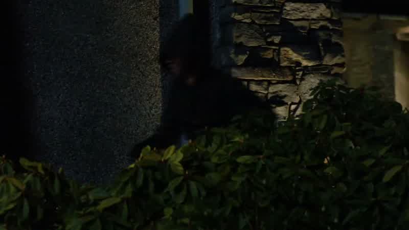 And even if he were to take them out, I have two sharpshooters on the roof