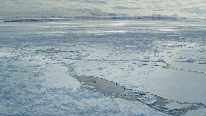 and eventually reach a patch of open water