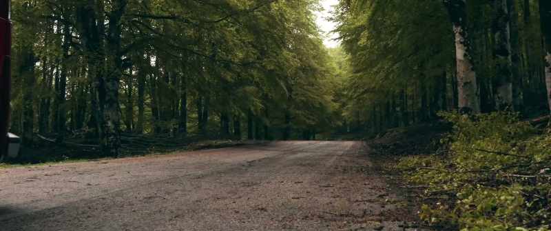 And every road, sooner or later, comes to a crossing