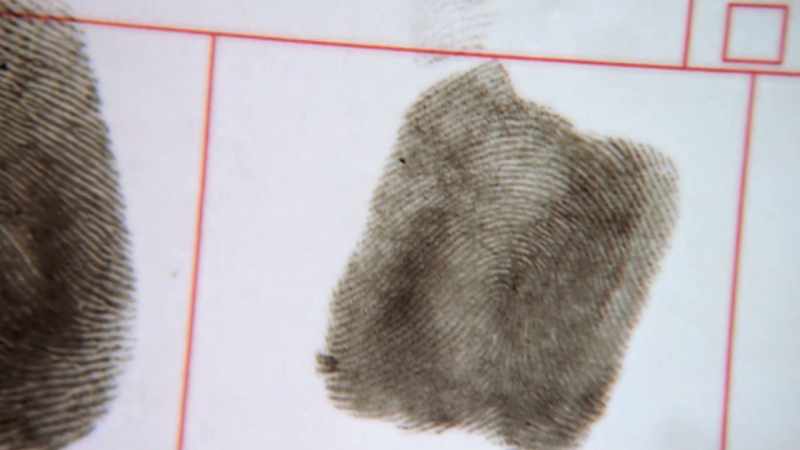 And we fingerprinted the victim