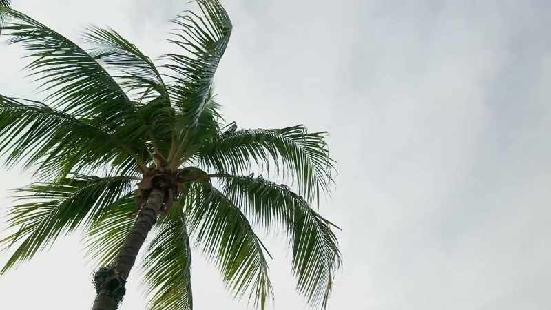 And Florida actually eased state regulations this year