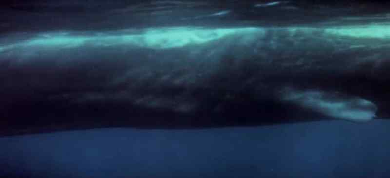 And God created great whales