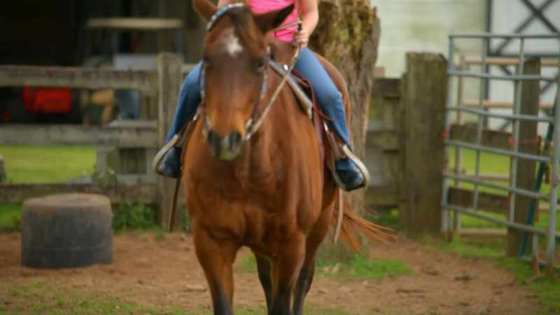 And you have got Dixie under control