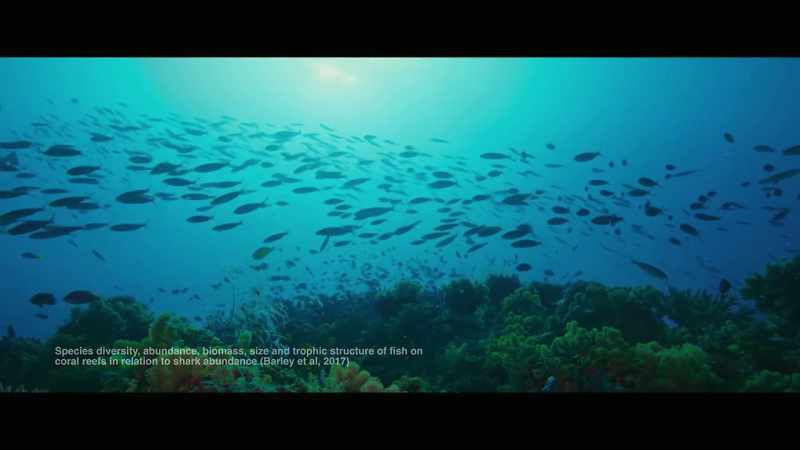 And to have that support on a reef ecosystem