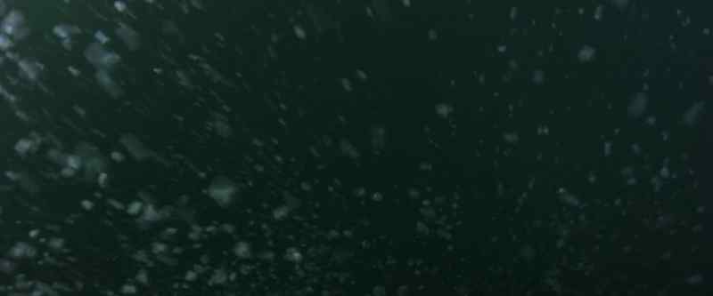 And here, water gave rise to something magical