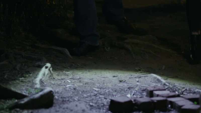 And he's one that hans and sybil