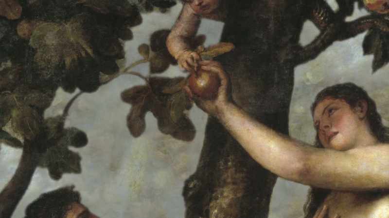 And they hid inside the very tree in the original
