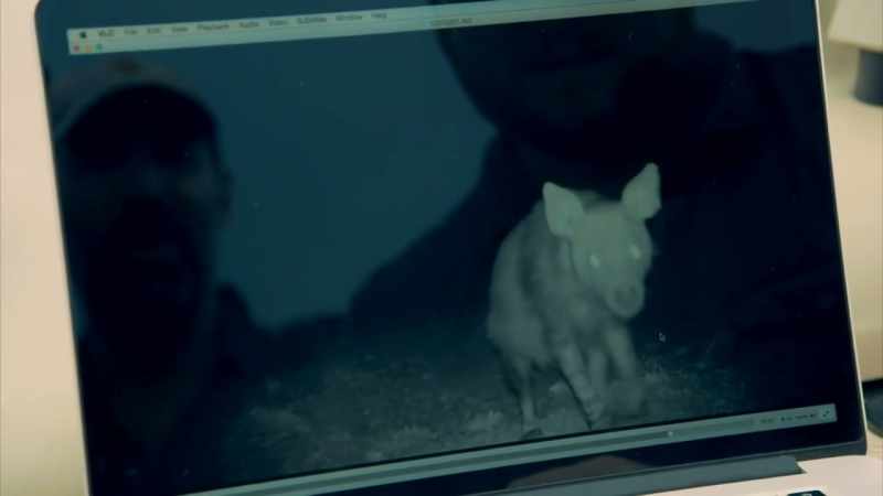AND I BELIEVE THIS CREATURE SOLVES THE MYSTERY