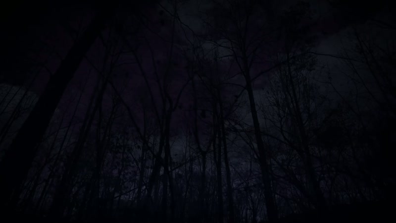 And I ended up in the woods alone