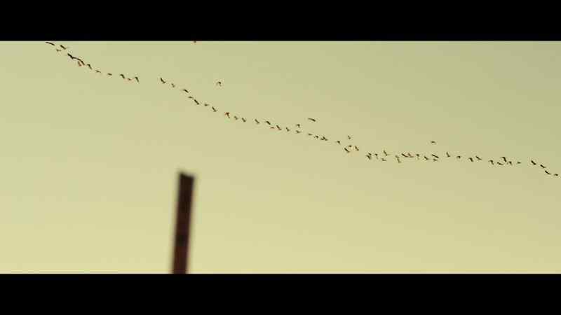 And I feel like I'm just flying through the sky