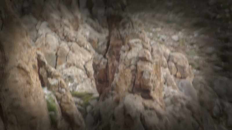 And I looked through the binoculars