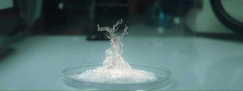 And I was thinking, if they can survive all the way back to the lab