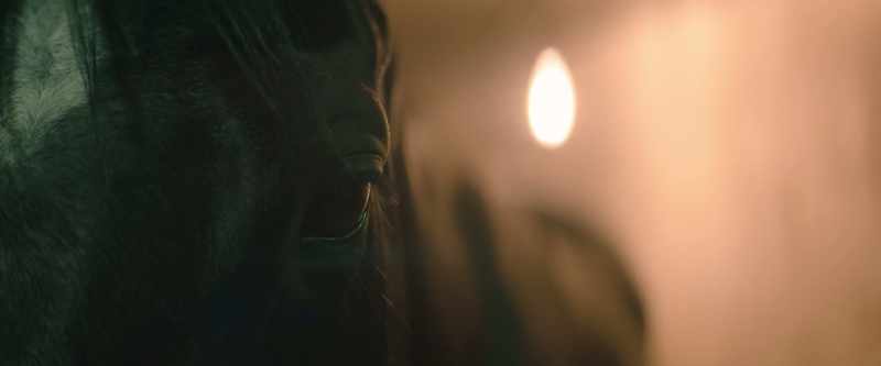 And I wished, somehow, I could see her just one last time