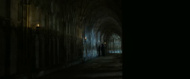 And I won't fail him.- You're afraid, Draco