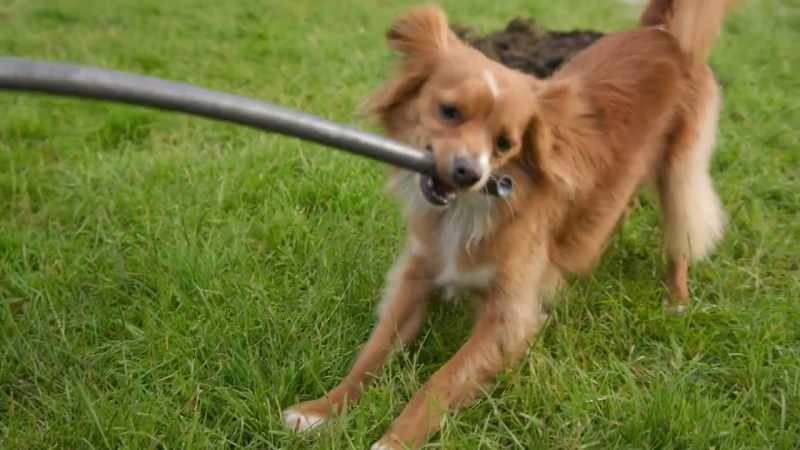 And I'm not... going back... to the pound