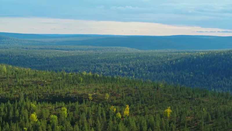 And in one special part of it, they thrive