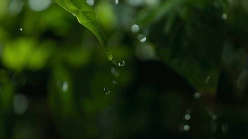And in the centre of almost every raindrop