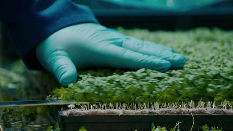 And intensifying yields by doing it