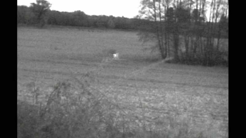 And this is an infrared video frame