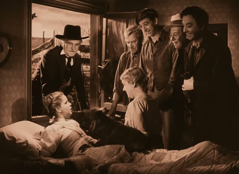 But anyway Toto we're homeHome And this is my roomand you're all hereAnd I'm not going to leave here ever ever againbecause I love you allAnd oh Auntie Emthere's no place like home