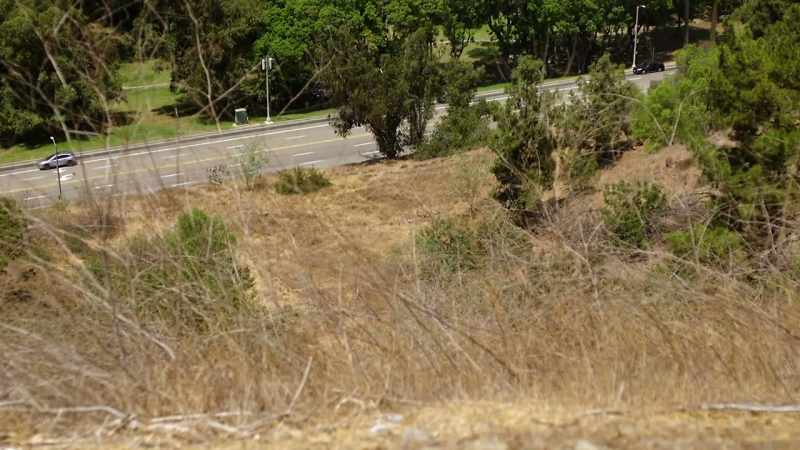And it was a gruesome, gruesome scene