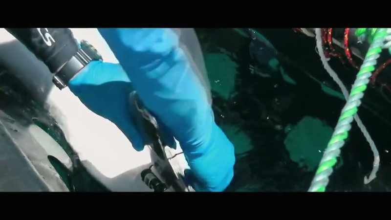 And if it is a target shark
