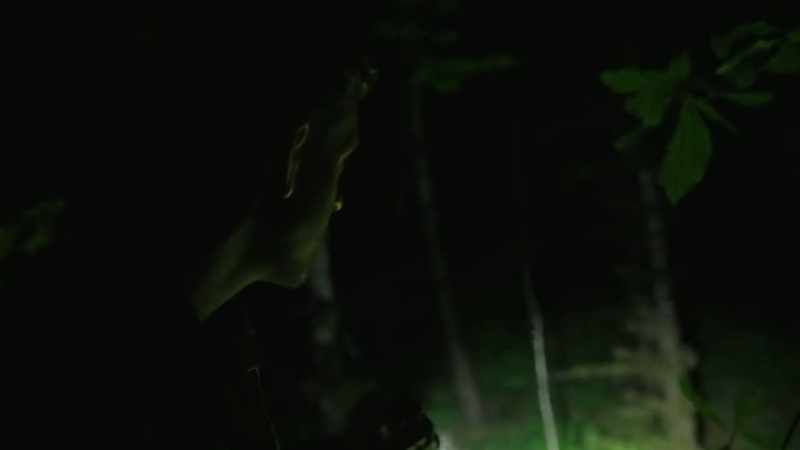 And it was set up on one of these trees right there