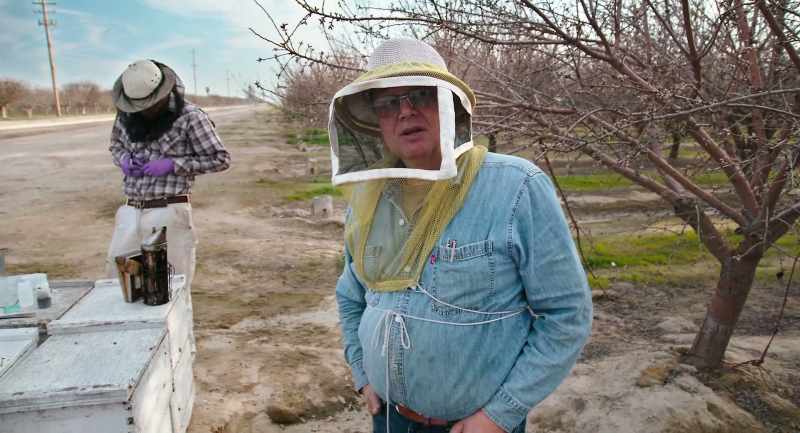 And it was very obvious it was an acute bee kill